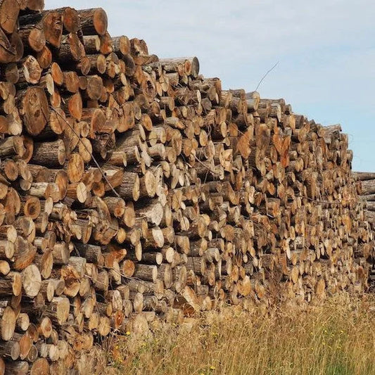 LKW-Ladung Holz in Grume – Buche/Eiche/Hainbuche – 30 Raummeter