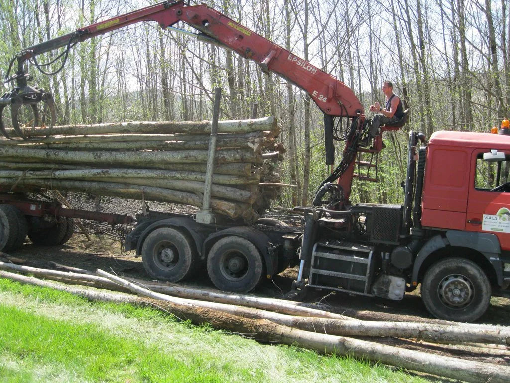 Camion de bois en grume – Hêtre, Chêne, Charme – 50 stères
