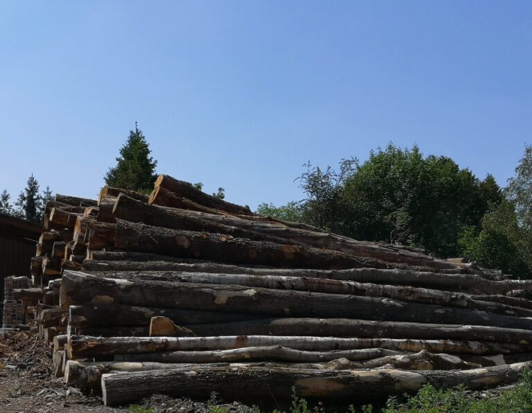 Camion de bois en grume – Hêtre, Chêne, Charme – 20 Stères