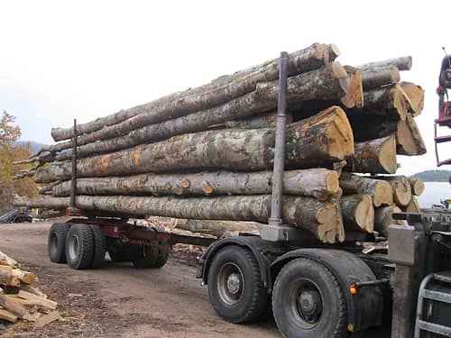 LKW-Ladung Holz in Grume – Buche/Eiche/Hainbuche – 25 Raummeter