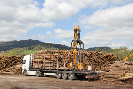 LKW-Ladung Buchenholz in Grume – 60 Raummeter